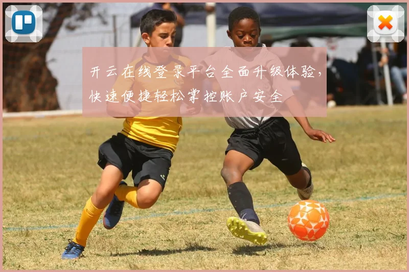 开云在线登录平台全面升级体验，快速便捷轻松掌控账户安全