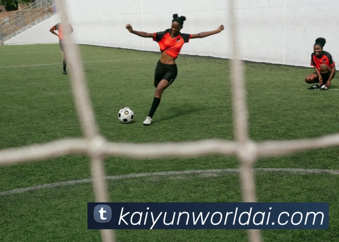 开云平台展示图